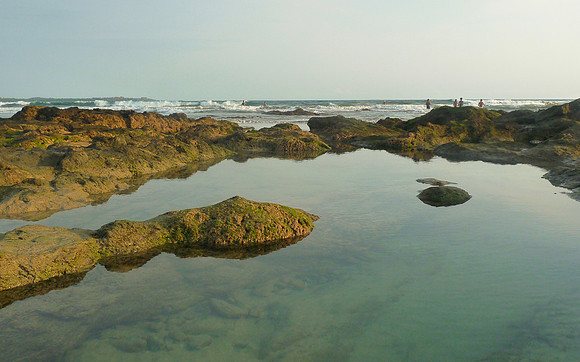 Playa Grande, Costa Rica