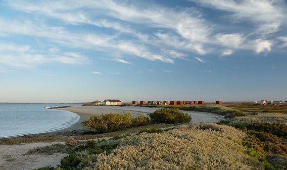 San Ignacio Lagoon, BC