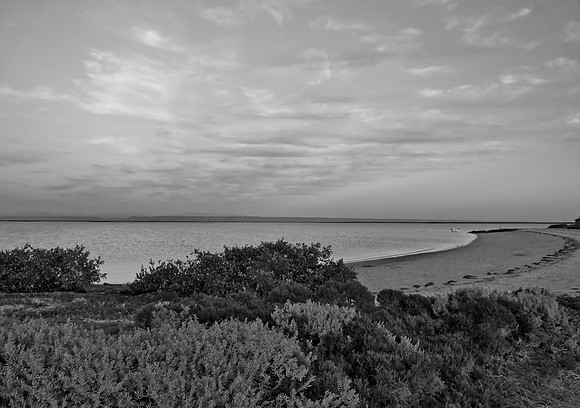 San Ignacio Lagoon, BC