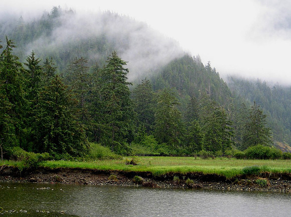 Vancouver Island, Strait of Georgia