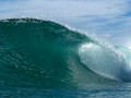Surf