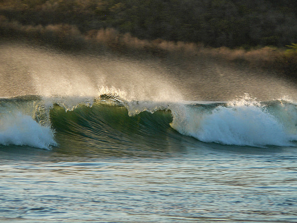 Playa Grande, Costa Rica