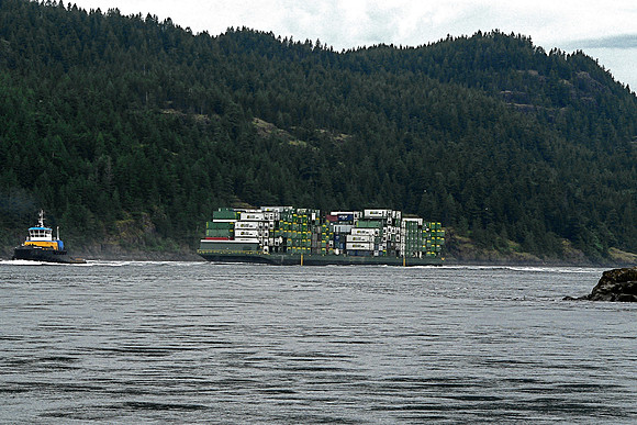 untitled (3 of 8)