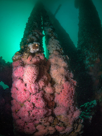 Eureka Oil Rig