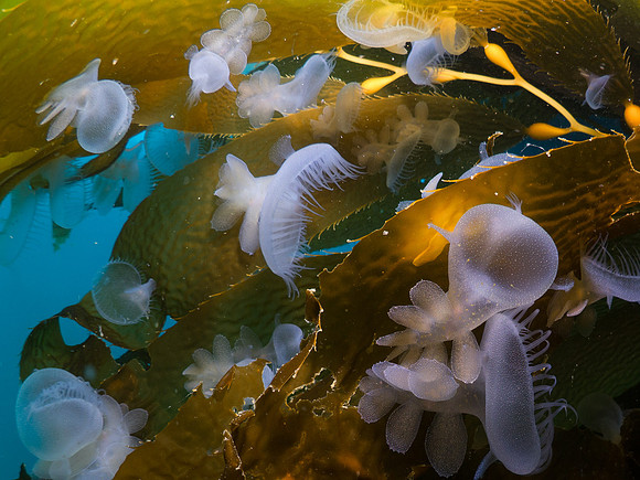 Palm Springs (4 of 5)